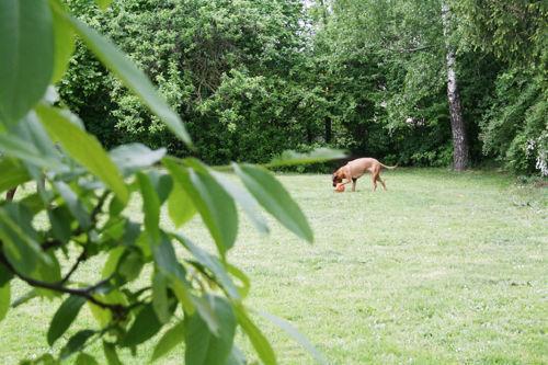 Ferienwohnung Kaim Prichsenstadt Pokoj fotografie