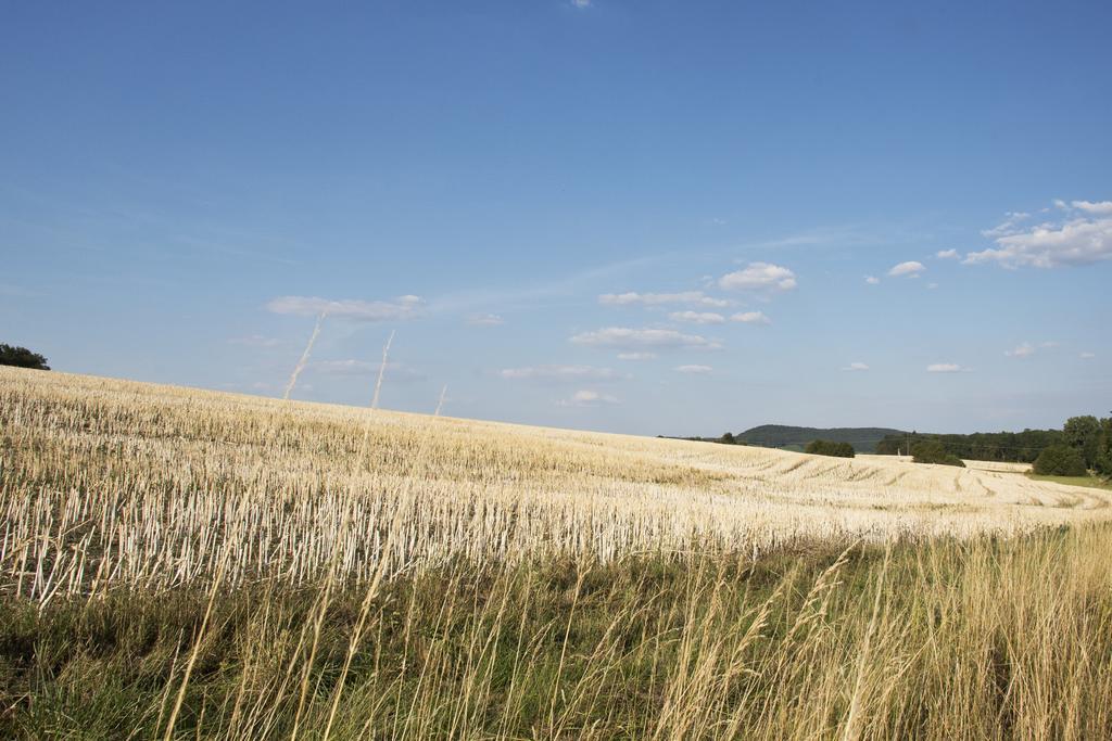 Ferienwohnung Kaim Prichsenstadt Pokoj fotografie